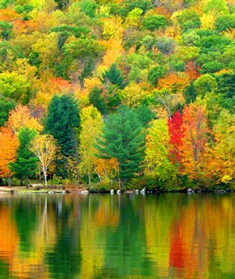1504-63 NHDTTD_Photographer Ellen Edersheim- Newfound Lake, Bristol200.300