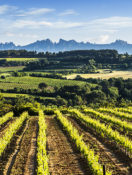 Cosmopolitan Travelers Take Note: Make Catalonia, Spain, Your Next Stop