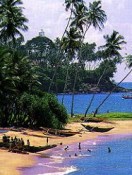Travel: Turn Hibernation into Dreaming
