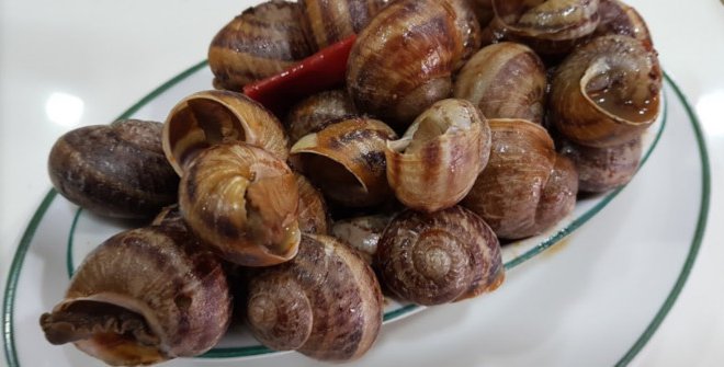 snails