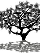 Psychological Resilience: A Roadmap for Successful Aging