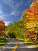 ACTIVE TRAVEL SERIES: Leaf Peeping Time is Here