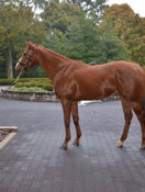 All-Season Lexington, Kentucky