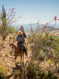 Elkhorn Ranch trail ride