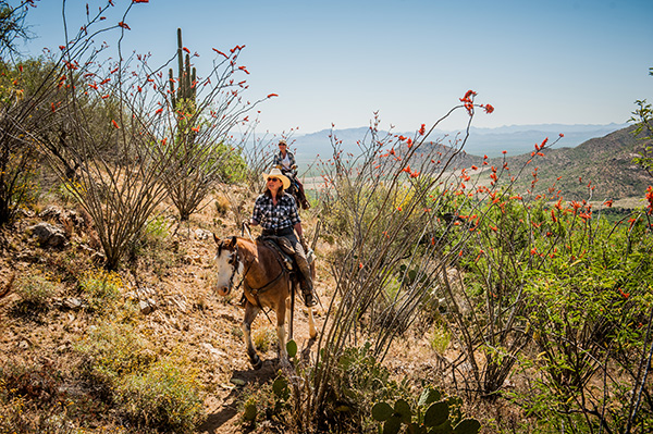 Elkhorn Ranch trail ride