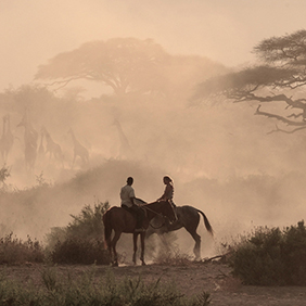 Photo: Equitours