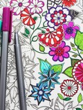 Johanna Basford coloring book
