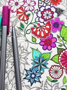 Coloring Books for Adults?