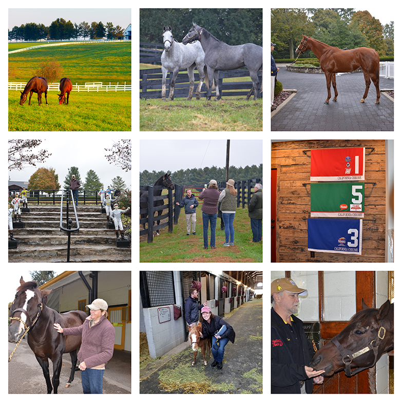 Lexington Kentucky