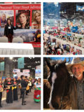 New York Times Travel Show
