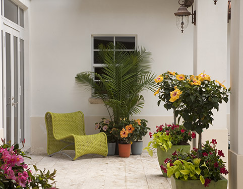 Container garden ideas healthyaging.net