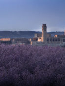 Insider Guide to Catalonia, Spain–Day 2 of 4–Province of Lleida