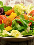 vegetarian diet. healthyaging.net