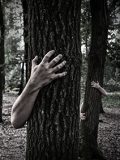 fear