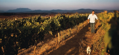 Tasting South Africa